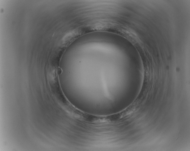 X0000075900503200609221940