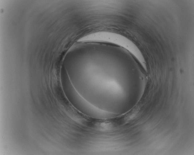 X0000075900506200609221940