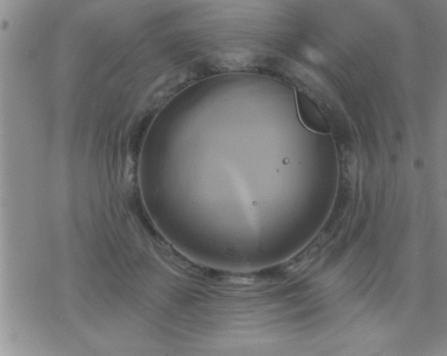 X0000075900507200609221940