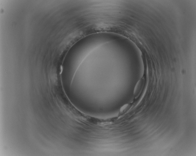 X0000075900508200609221940