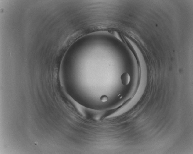 X0000075900509200609221940