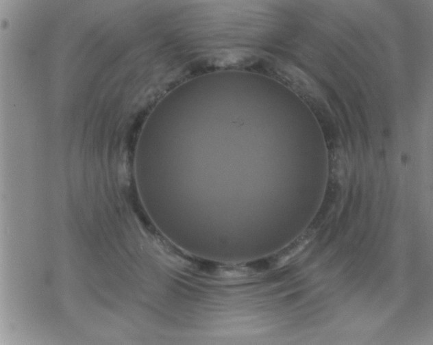 X0000075900510200609221940