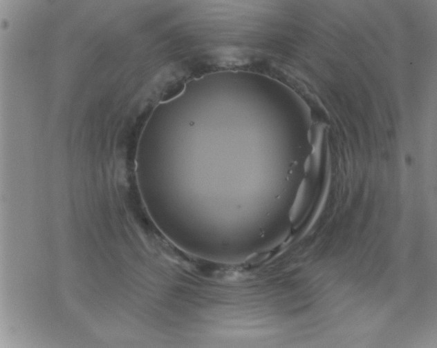 X0000075900512200609221940