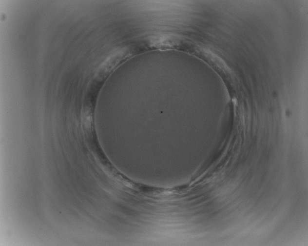 X0000075900513200609221940