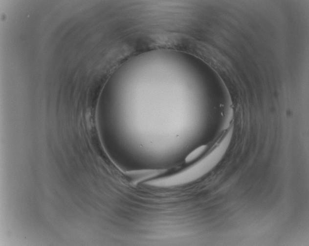 X0000075900514200609221940