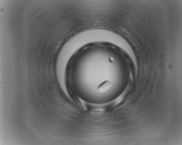 X0000075900516200609221940