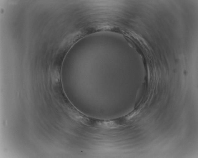 X0000075900517200609221940