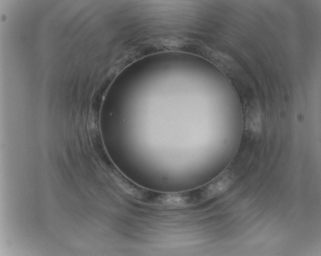 X0000075900518200609221940