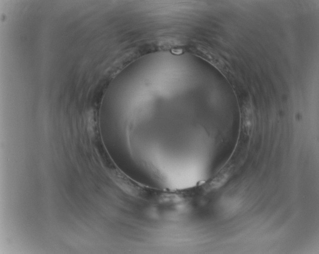 X0000075900519200609221940