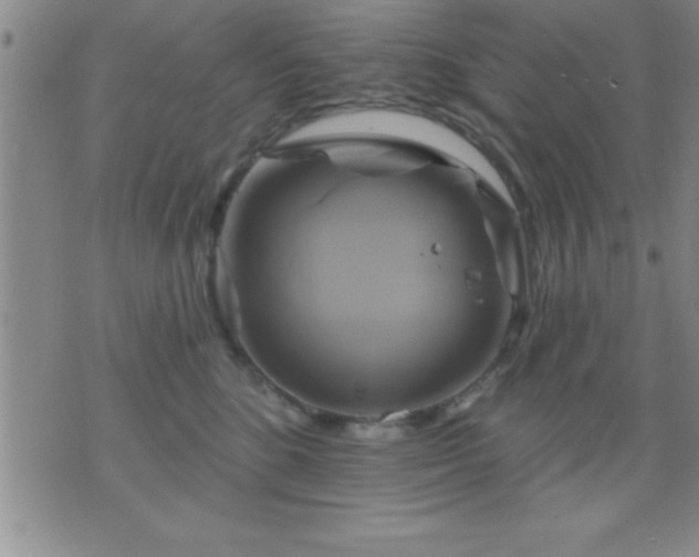 X0000075900520200609221940