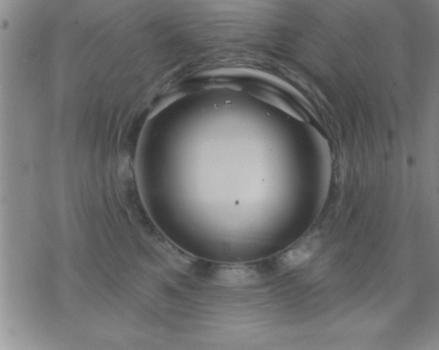 X0000075900521200609221940