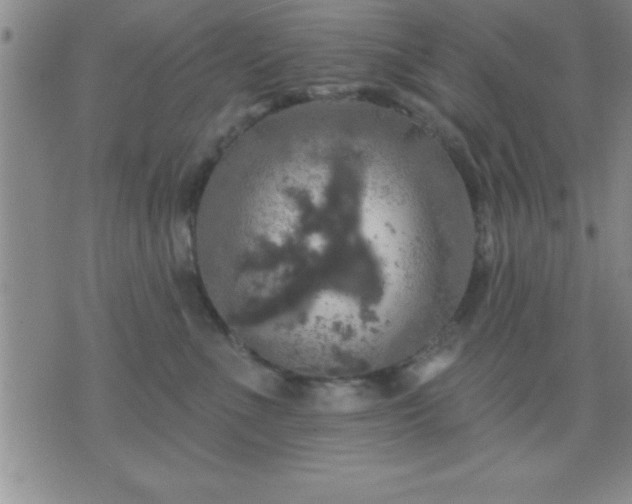 X0000075900523200609221940