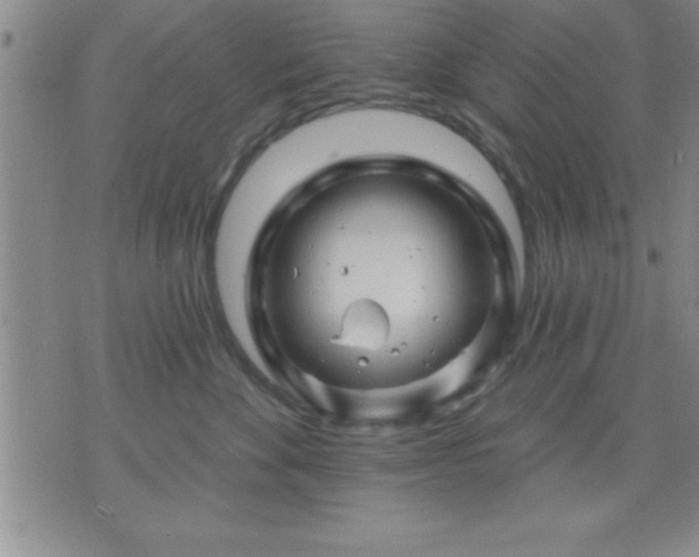 X0000075900524200609221940