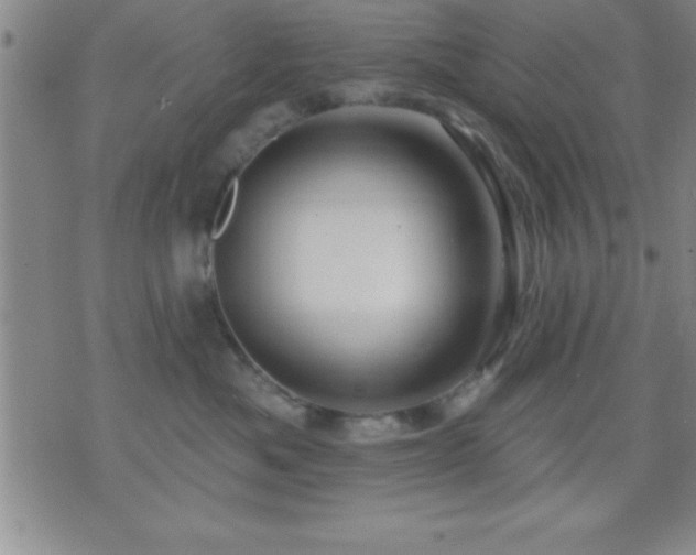 X0000075900525200609221940