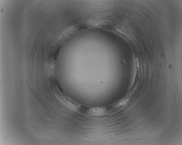 X0000075900526200609221940