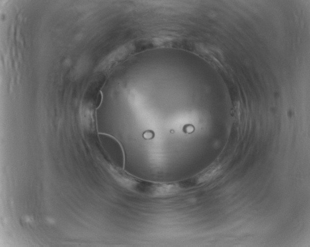 X0000075900527200609221940