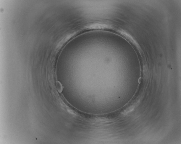 X0000075900529200609221939