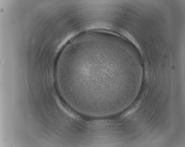 X0000075900530200609221939