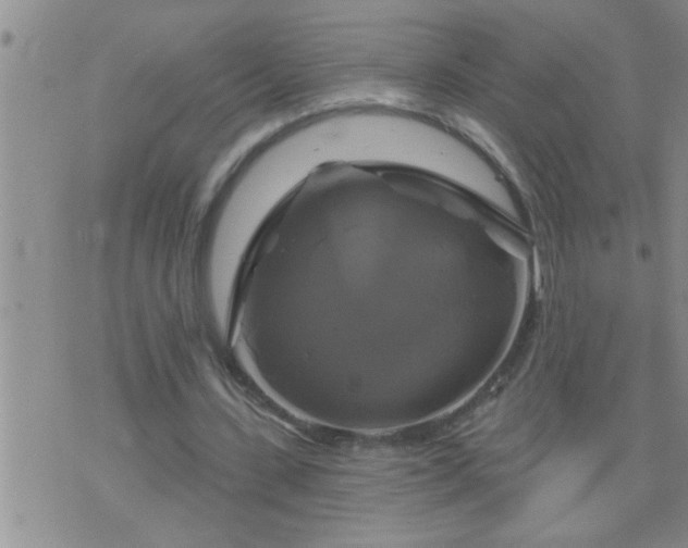 X0000075900531200609221939