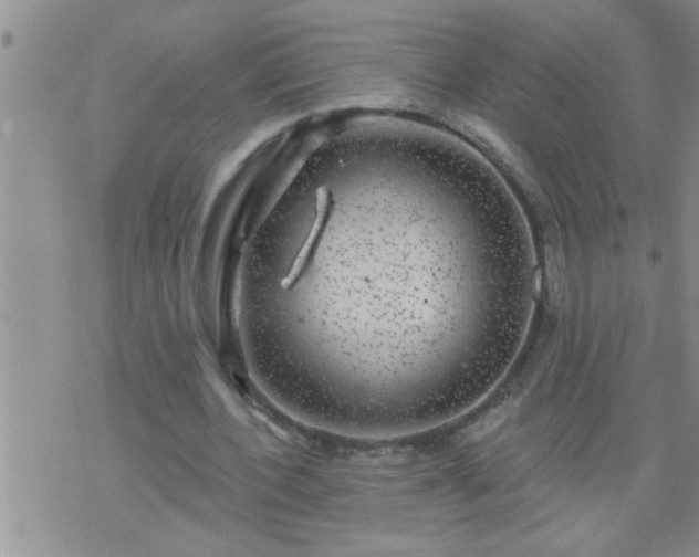 X0000075900532200609221939