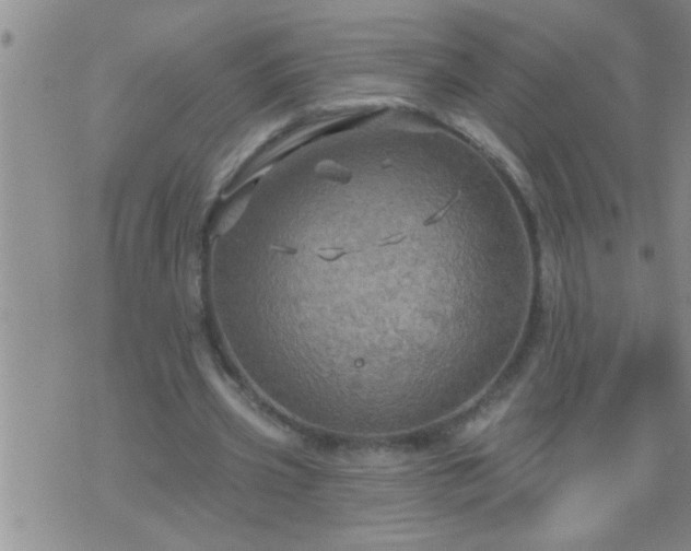 X0000075900533200609221939