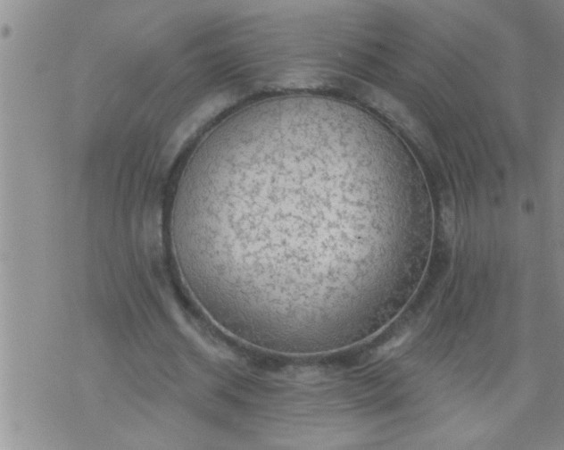 X0000075900534200609221939