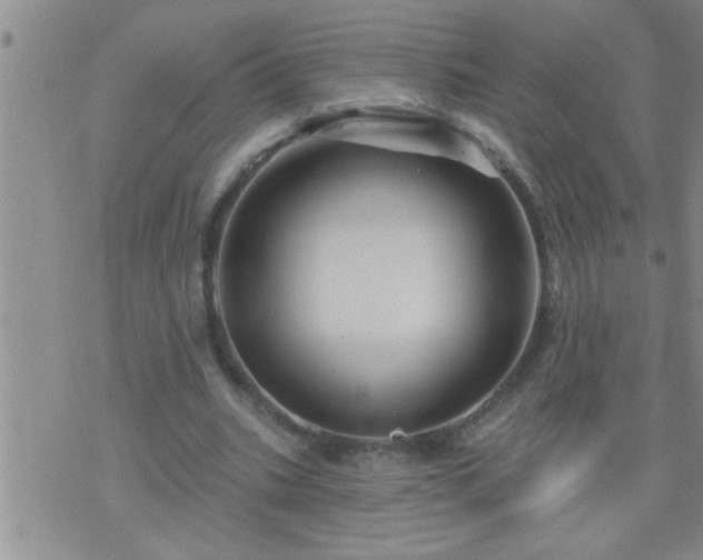 X0000075900535200609221939