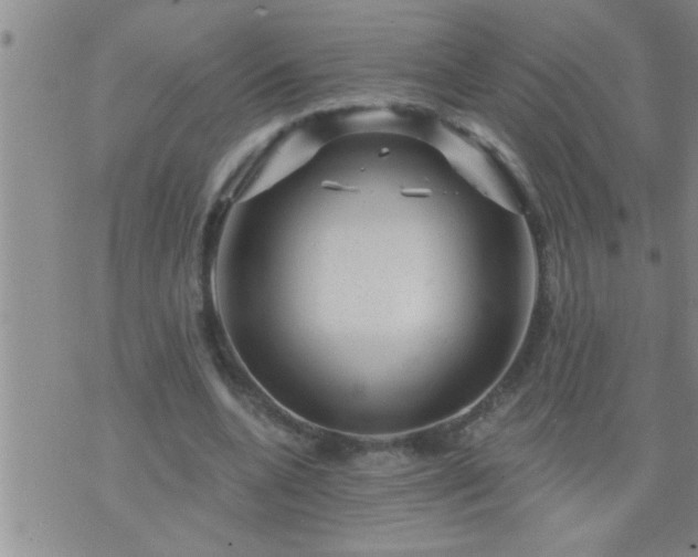 X0000075900536200609221939