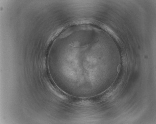 X0000075900537200609221939