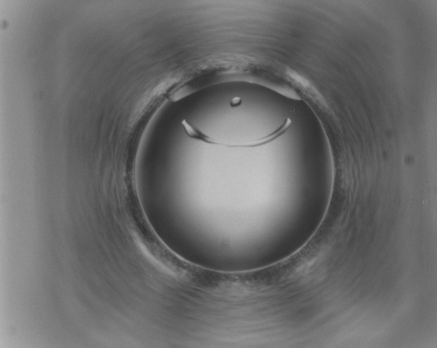 X0000075900538200609221939