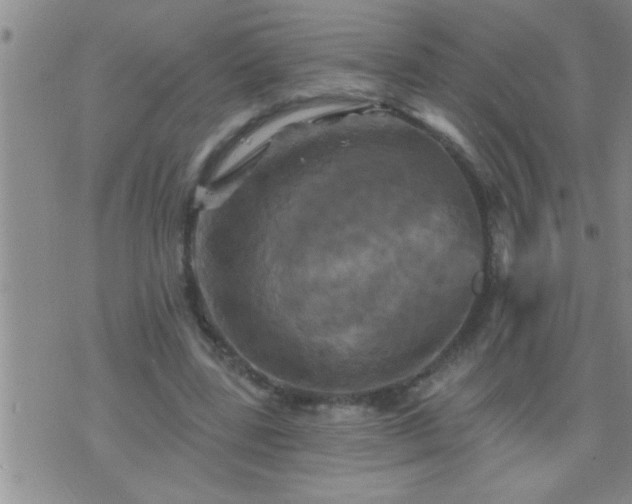 X0000075900539200609221939