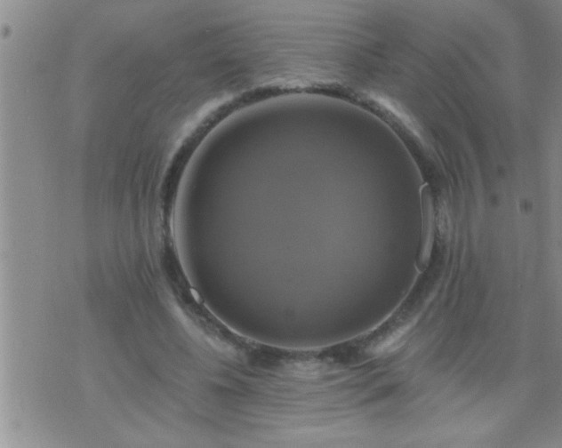 X0000075900540200609221939