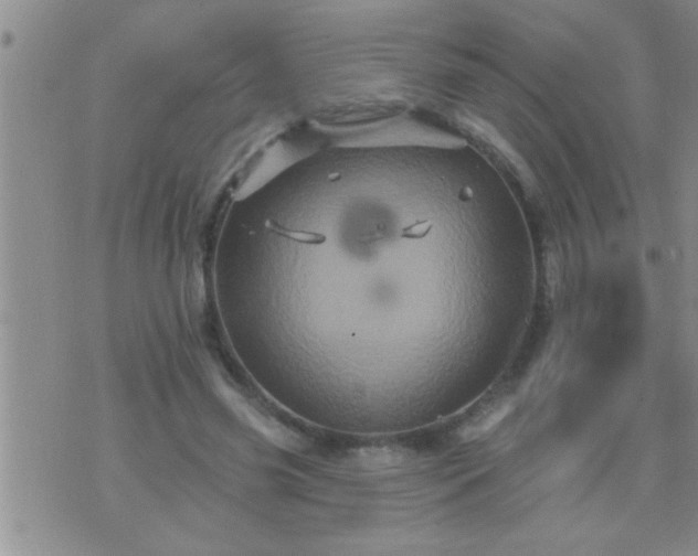 X0000075900541200609221939