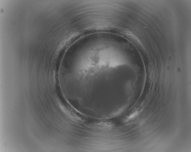 X0000075900542200609221939