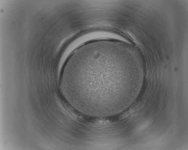 X0000075900543200609221939