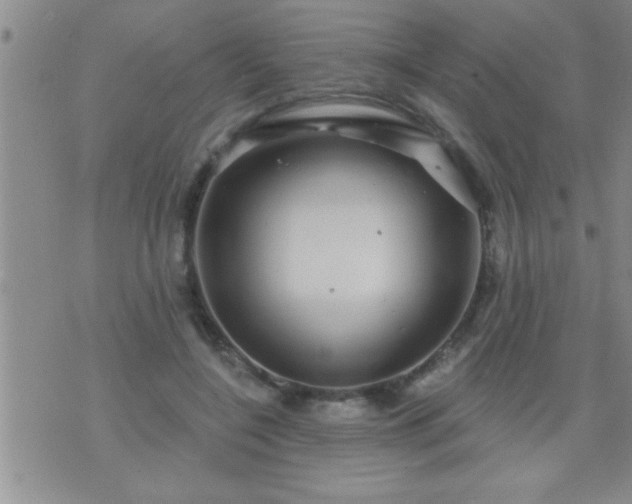 X0000075900548200609221939