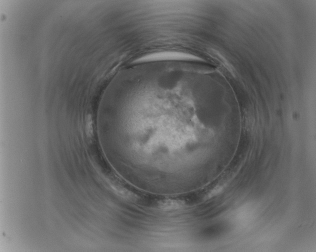 X0000075900549200609221939