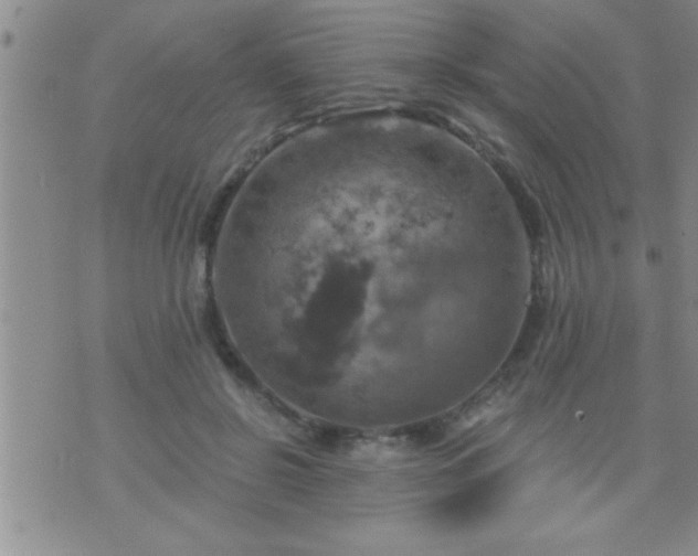 X0000075900550200609221939