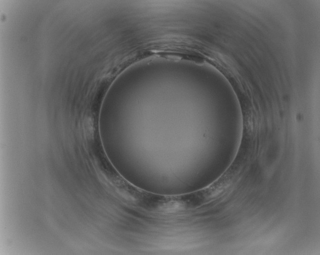 X0000075900551200609221939