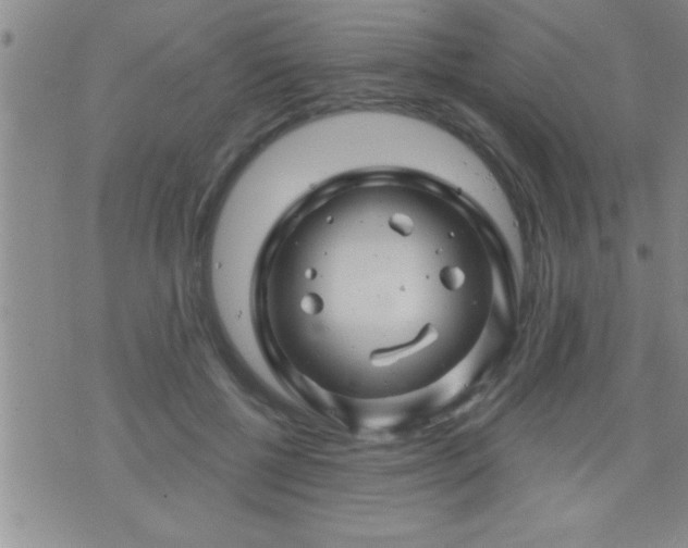 X0000075900552200609221939