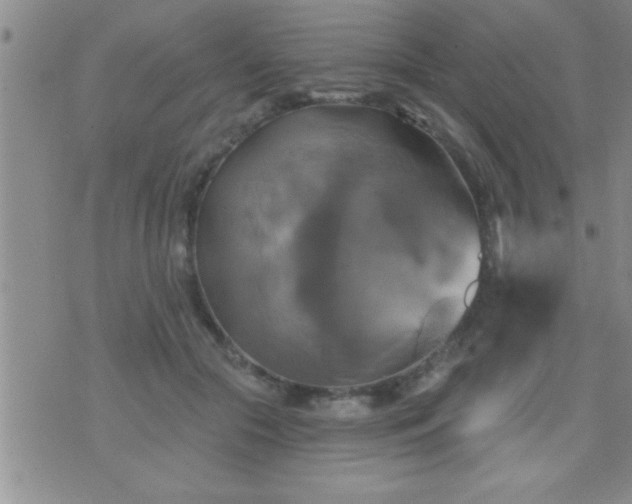 X0000075900553200609221939