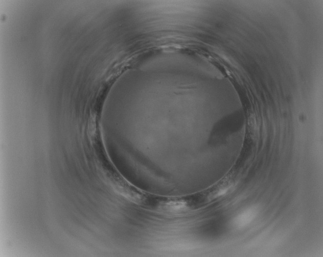 X0000075900554200609221939