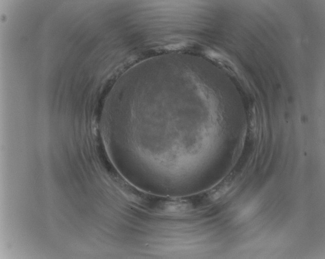 X0000075900555200609221939