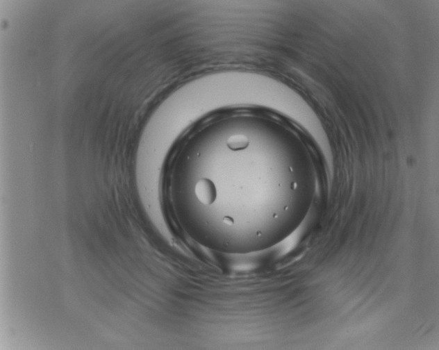 X0000075900556200609221939