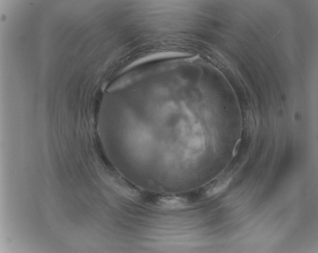 X0000075900557200609221939