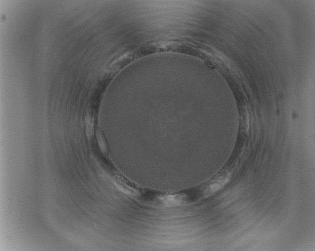 X0000075900558200609221939