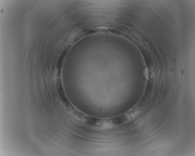 X0000075900559200609221939