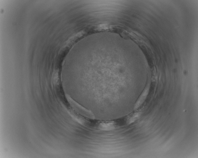 X0000075900560200609221939