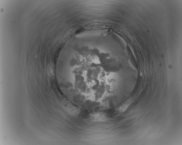 X0000075900561200609221939