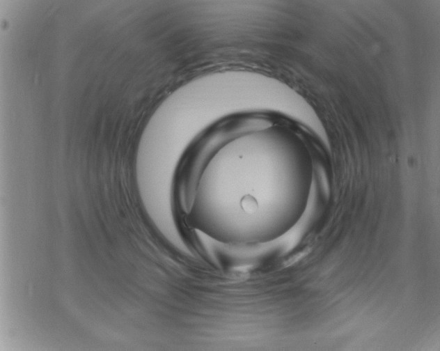 X0000075900562200609221939